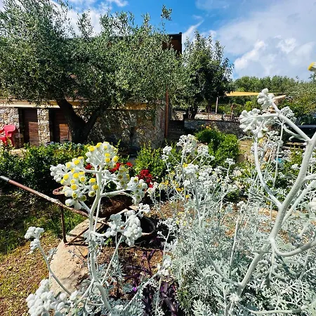 Starza * Marina di Camerota
