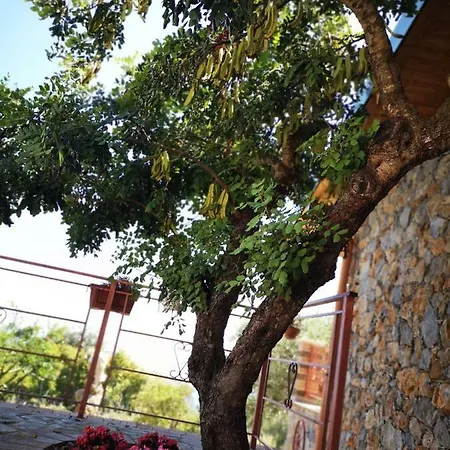 Casa vacanze Starza